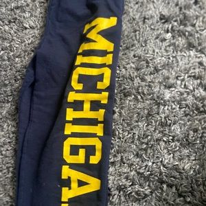 Champion Michigan sweats